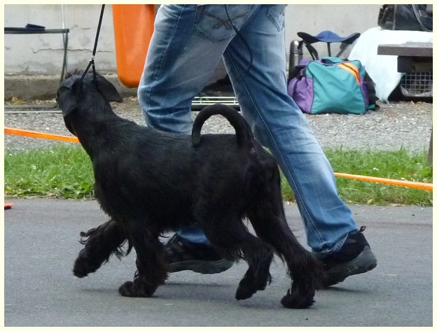 Terinka_Vystava_Krnov_2012_foto2.jpg